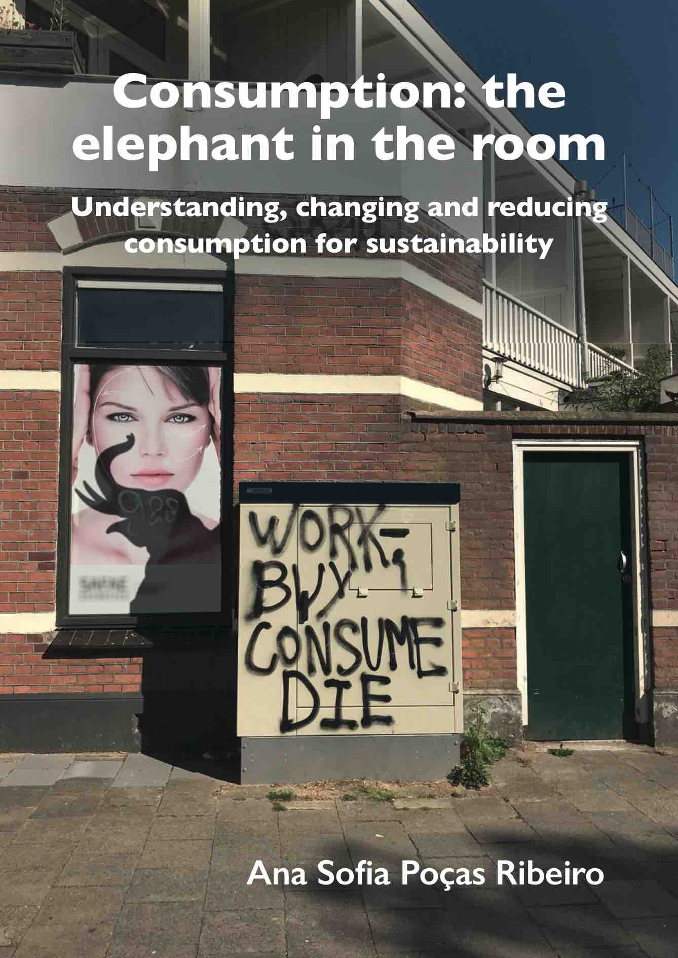Consumption: the elephant in the room: Understanding, changing, and reducing consumption for sustainability