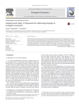 Galtung meets Daly: A framework for addressing inequity in ecological economics