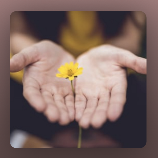 Real valuism: A world beyond money